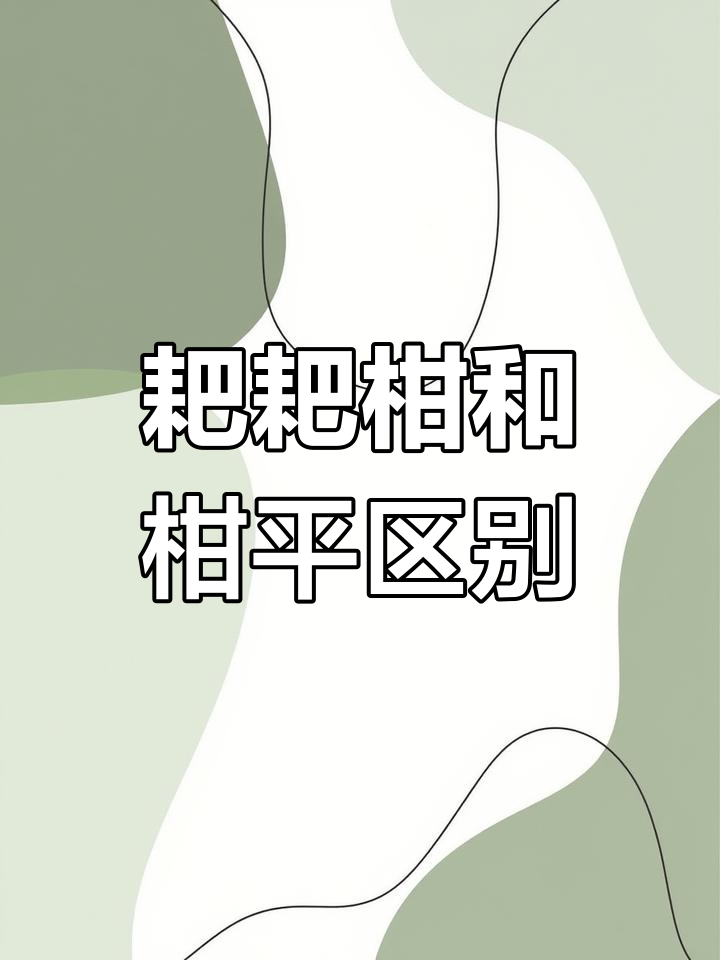 与的区别 与的区别在哪里 
